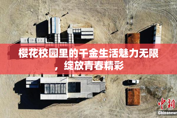 樱花校园里的千金生活魅力无限，绽放青春精彩