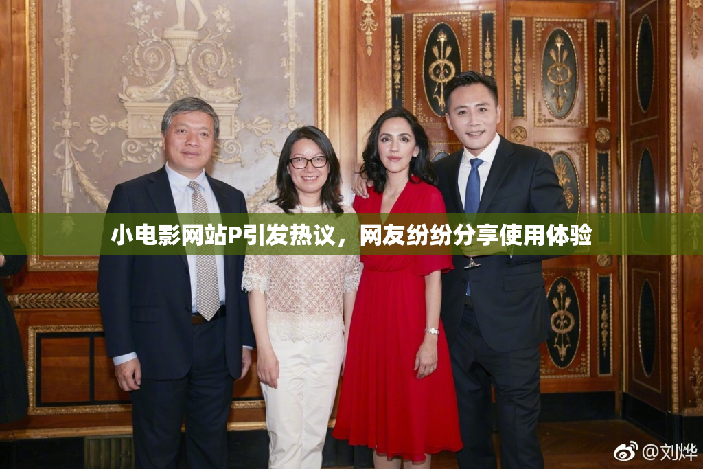 小电影网站P引发热议，网友纷纷分享使用体验