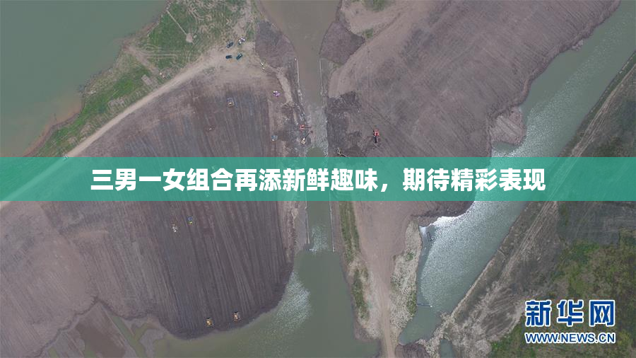 三男一女组合再添新鲜趣味，期待精彩表现