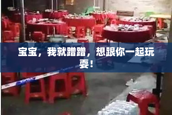 宝宝，我就蹭蹭，想跟你一起玩耍！