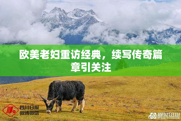 欧美老妇重访经典，续写传奇篇章引关注