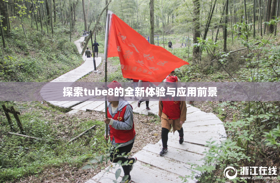 探索tube8的全新体验与应用前景