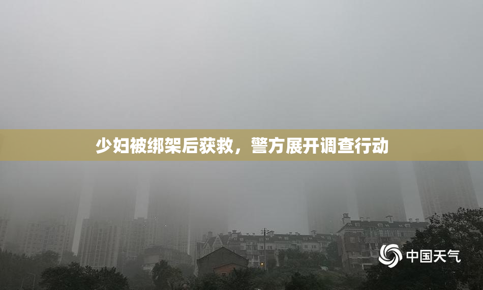少妇被绑架后获救，警方展开调查行动