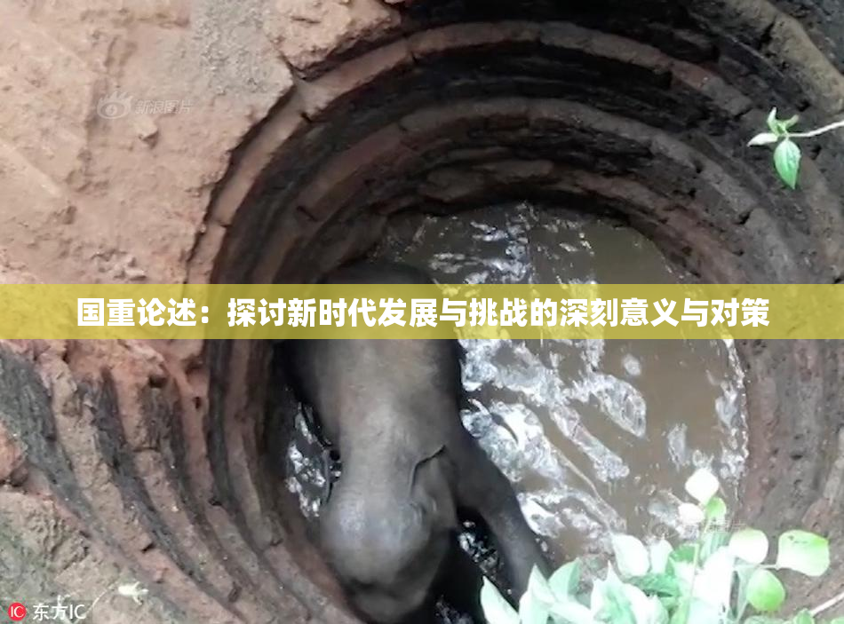 国重论述：探讨新时代发展与挑战的深刻意义与对策