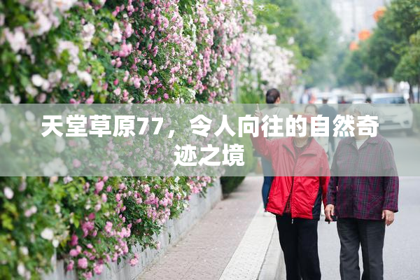天堂草原77，令人向往的自然奇迹之境