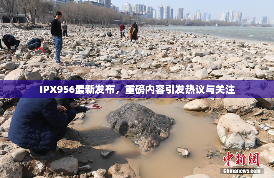 IPX956最新发布，重磅内容引发热议与关注