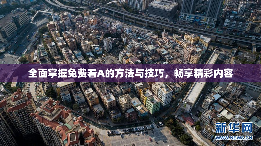 全面掌握免费看A的方法与技巧，畅享精彩内容