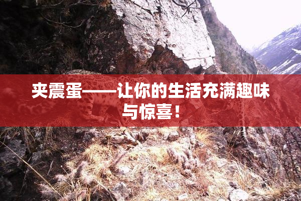 夹震蛋——让你的生活充满趣味与惊喜！