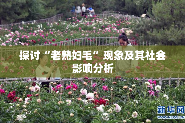 探讨“老熟妇毛”现象及其社会影响分析