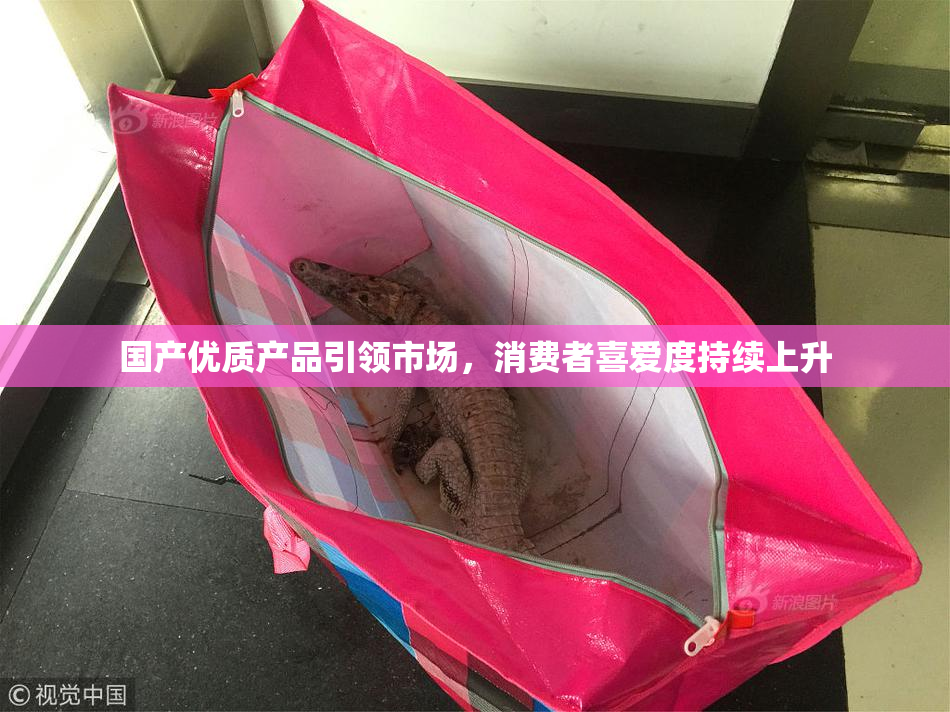国产优质产品引领市场，消费者喜爱度持续上升