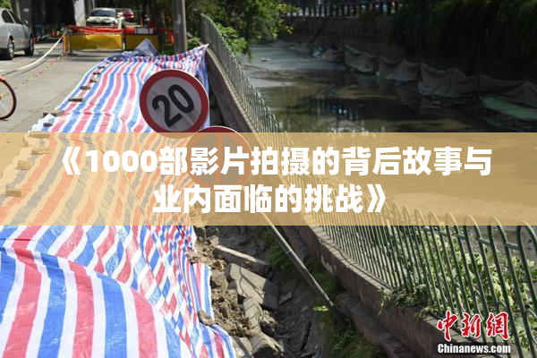 《1000部影片拍摄的背后故事与业内面临的挑战》