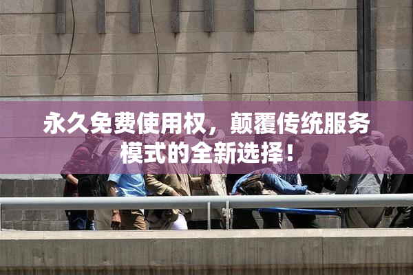 永久免费使用权，颠覆传统服务模式的全新选择！