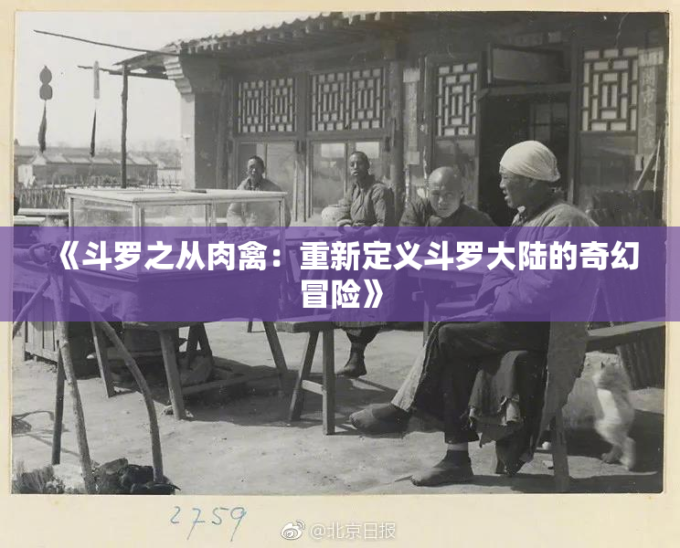 《斗罗之从肉禽：重新定义斗罗大陆的奇幻冒险》