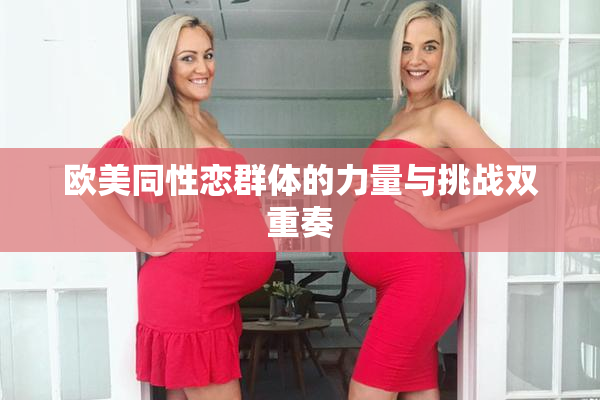 欧美同性恋群体的力量与挑战双重奏