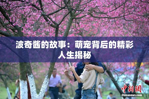 波奇酱的故事：萌宠背后的精彩人生揭秘