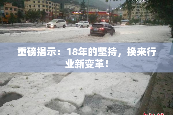 重磅揭示：18年的坚持，换来行业新变革！