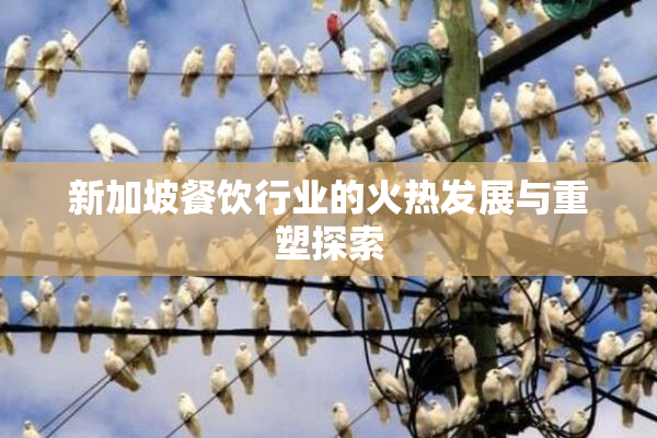 新加坡餐饮行业的火热发展与重塑探索