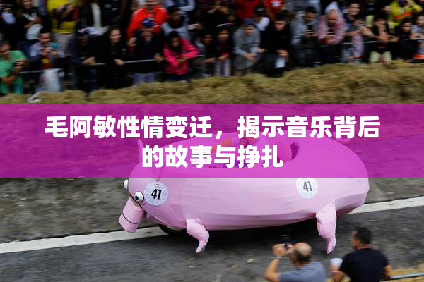 毛阿敏性情变迁，揭示音乐背后的故事与挣扎