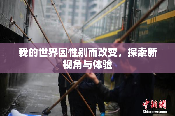 我的世界因性别而改变，探索新视角与体验