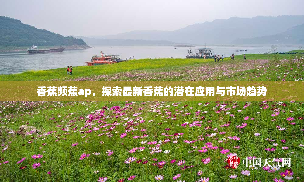 香蕉频蕉ap，探索最新香蕉的潜在应用与市场趋势