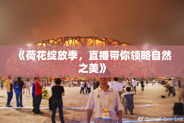 《荷花绽放季，直播带你领略自然之美》