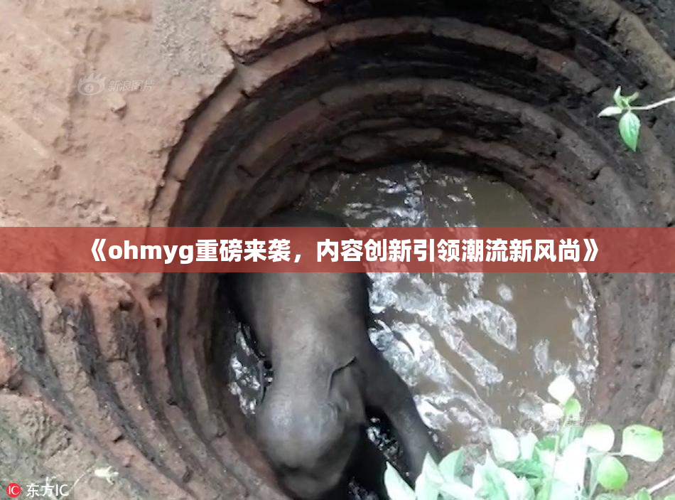 《ohmyg重磅来袭，内容创新引领潮流新风尚》