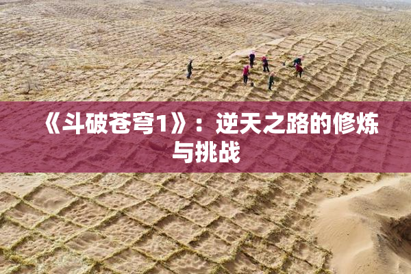 《斗破苍穹1》：逆天之路的修炼与挑战