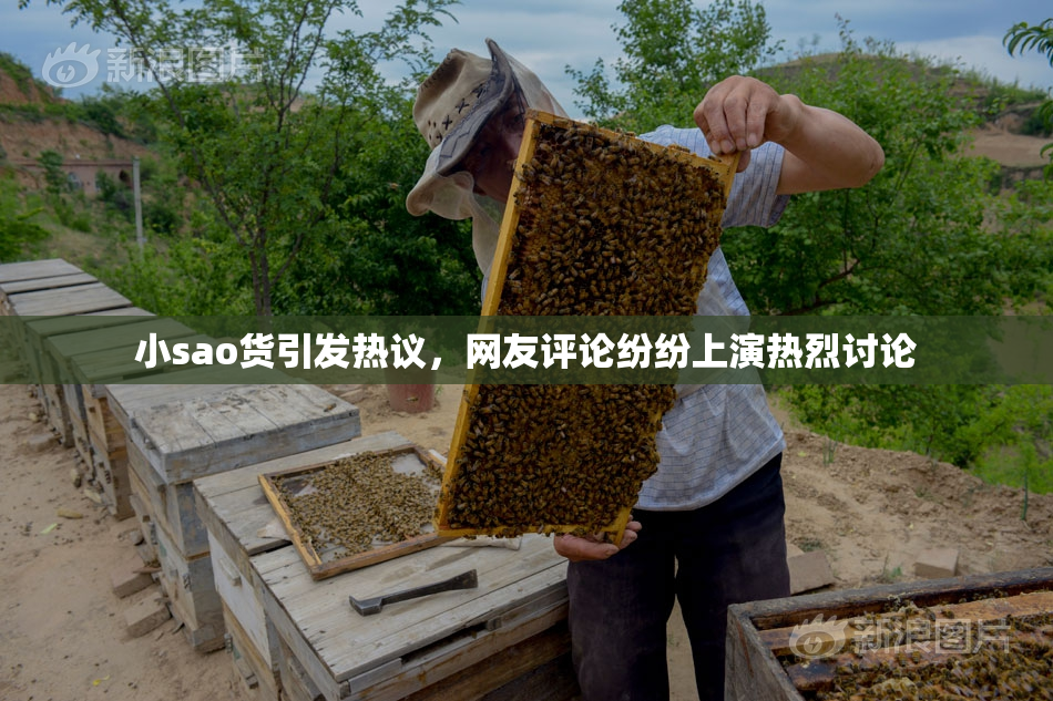 小sao货引发热议，网友评论纷纷上演热烈讨论