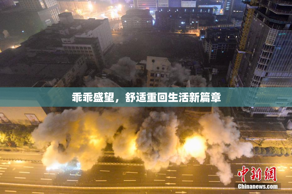 乖乖盛望，舒适重回生活新篇章