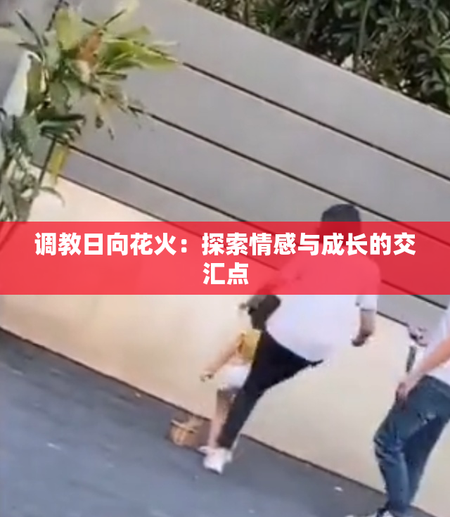 调教日向花火：探索情感与成长的交汇点