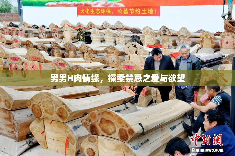 男男H肉情缘，探索禁忌之爱与欲望
