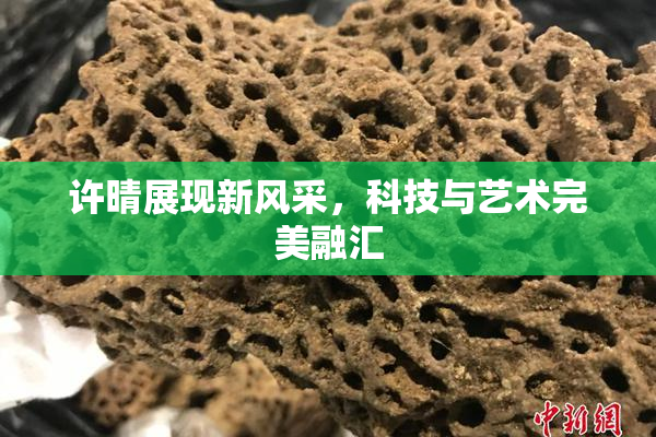 许晴展现新风采，科技与艺术完美融汇