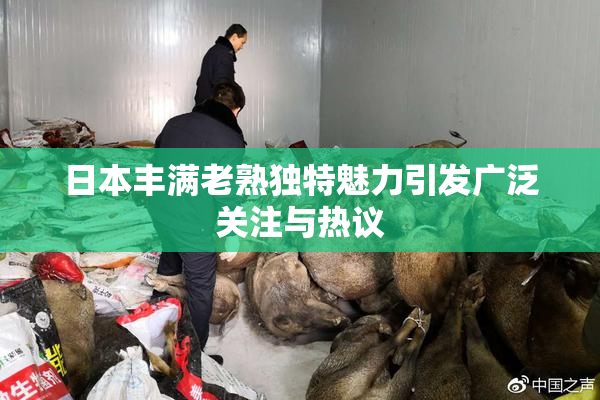 日本丰满老熟独特魅力引发广泛关注与热议