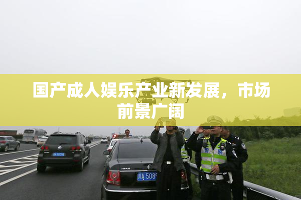 国产成人娱乐产业新发展，市场前景广阔
