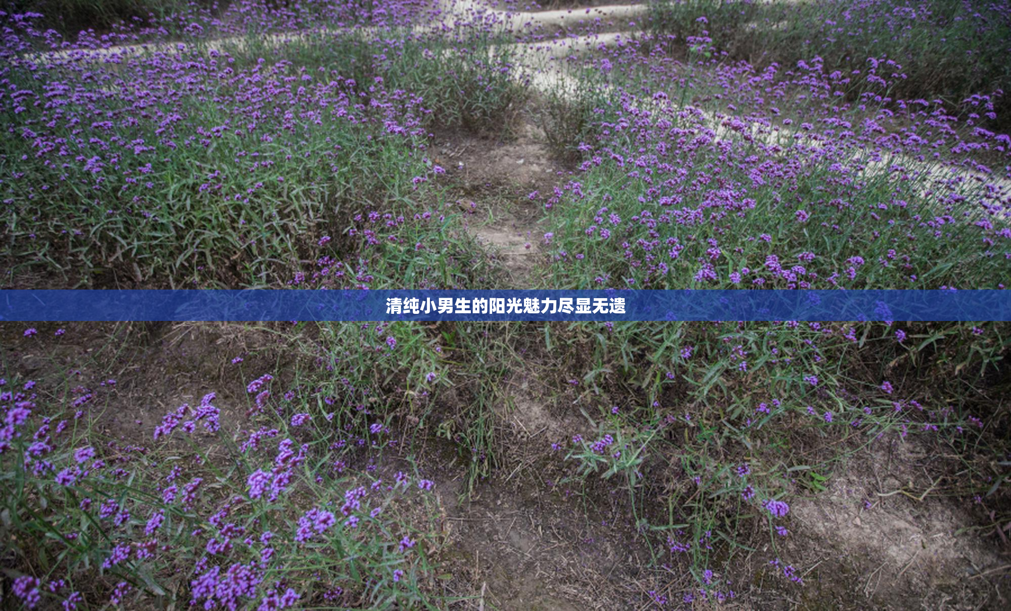 清纯小男生的阳光魅力尽显无遗