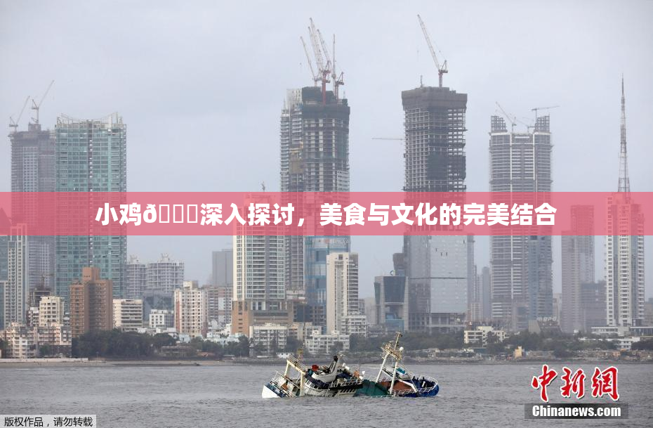 小鸡🐔深入探讨，美食与文化的完美结合