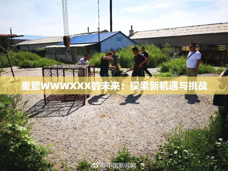 重塑WWWXXX的未来：探索新机遇与挑战