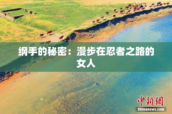 纲手的秘密：漫步在忍者之路的女人