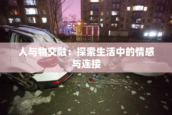 人与物交融：探索生活中的情感与连接