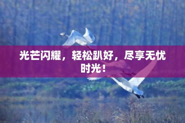 光芒闪耀，轻松趴好，尽享无忧时光！