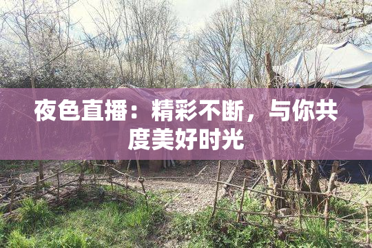 夜色直播：精彩不断，与你共度美好时光
