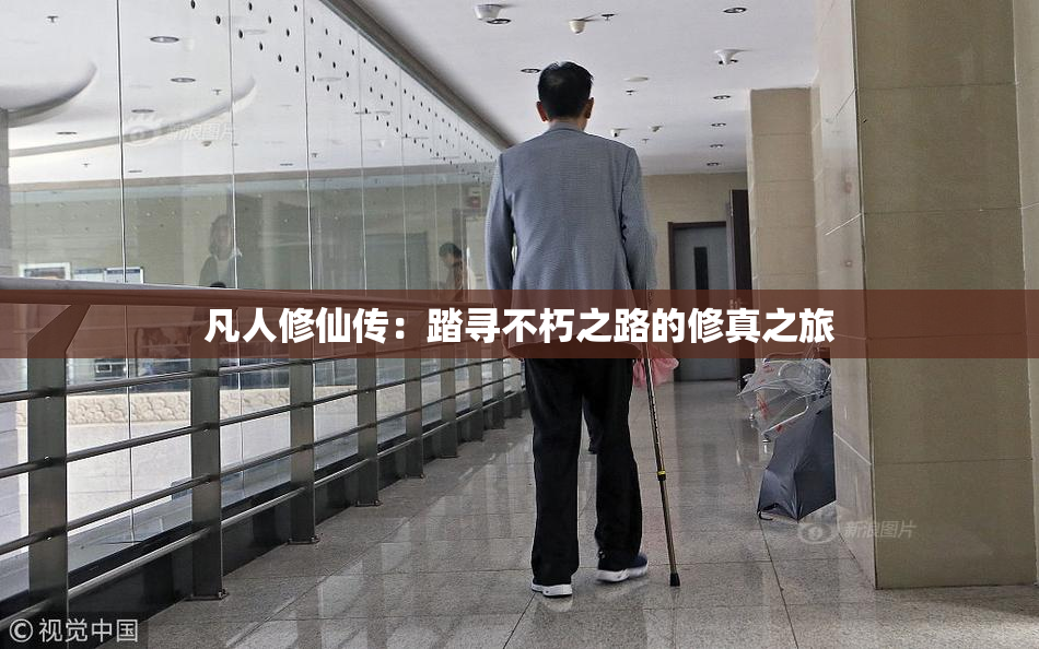 凡人修仙传：踏寻不朽之路的修真之旅