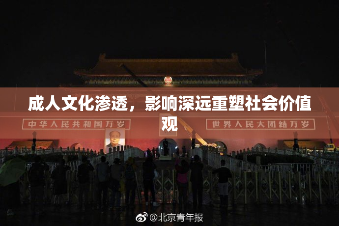 成人文化渗透，影响深远重塑社会价值观