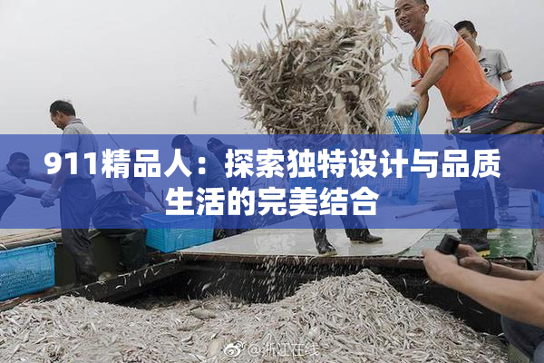 911精品人：探索独特设计与品质生活的完美结合