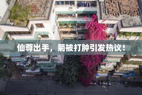 仙尊出手，菊被打肿引发热议！