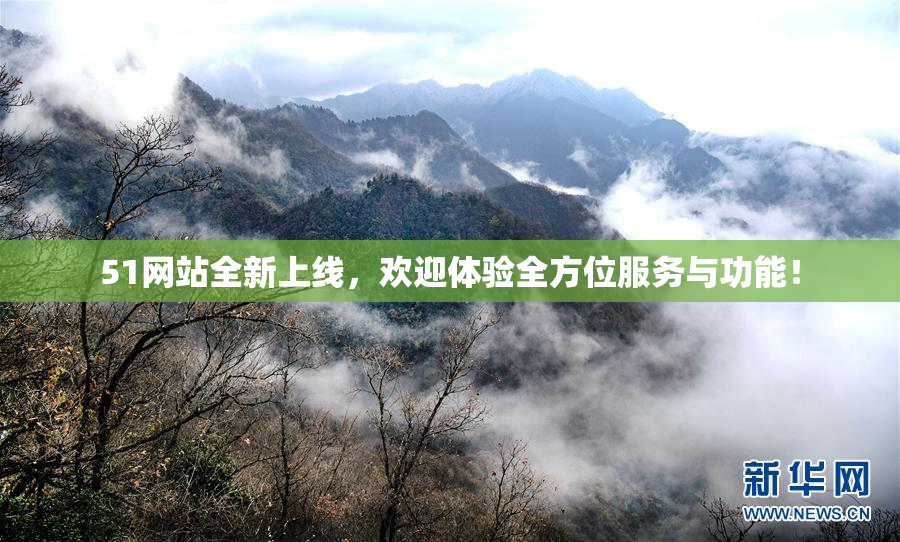 51网站全新上线，欢迎体验全方位服务与功能！