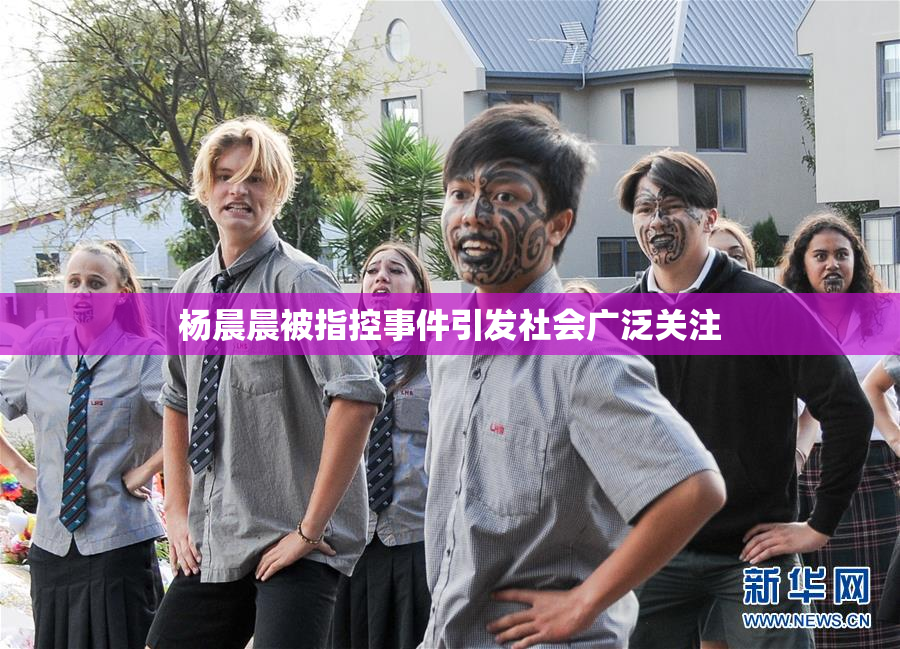 杨晨晨被指控事件引发社会广泛关注