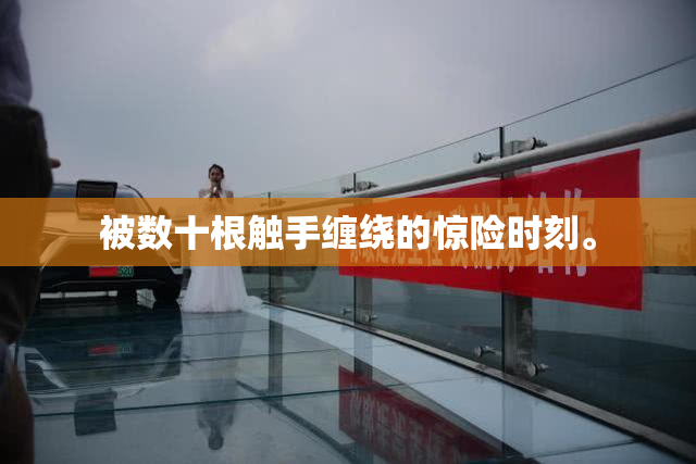 被数十根触手缠绕的惊险时刻。