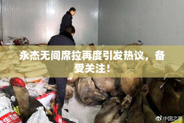 永杰无间席拉再度引发热议，备受关注！