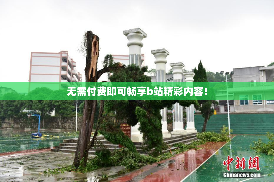 无需付费即可畅享b站精彩内容！